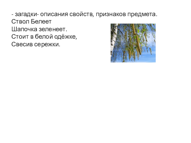 Загадка природы характеристика и описание. Загадки описания признаков предмета. Загадка по описанию свойств и признаков. Загадки описание свойств признаков. Ствол Белеет шапочка зеленеет.