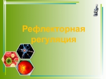 Презентация по биологии на тему Рефлекторная регуляция (8 класс)