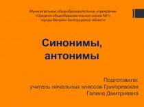 Интерактивный плакат по русскому языку по теме Синонимы, антонимы