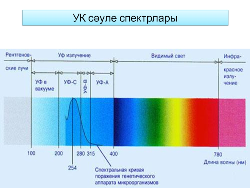 УК сәуле спектрлары