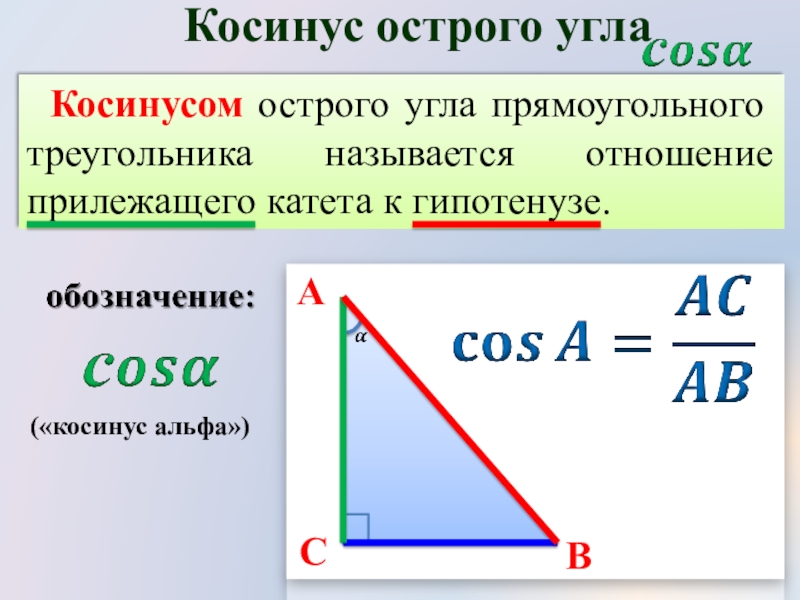 Формула косинуса острого угла прямоугольного треугольника. Косинус острого угла прямоугольного. Косинус острого угла прямоугольного треугольника. Косинус угла Альфа. Косинус угла в прямоугольном треугольнике.