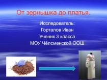 Презентация детского исследовательского проекта От зёрнышка до платья