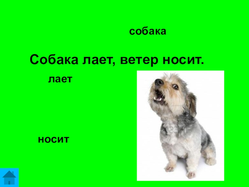 Пес на ветер не лает. Собака лает ветер. Собака лает носит. Поговорка собака лает ветер дует. Поговорка собака лает ветер носит значение.