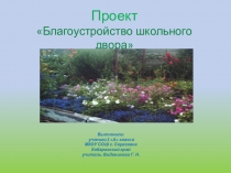 Проект благоустройства школьного двора