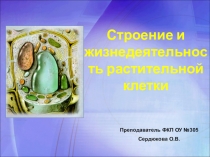 Презентация по профессии Рабочий зеленого хозяйства на тему Строение и развитие растительной клетки
