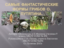 Презентация Грибы удивительной формы