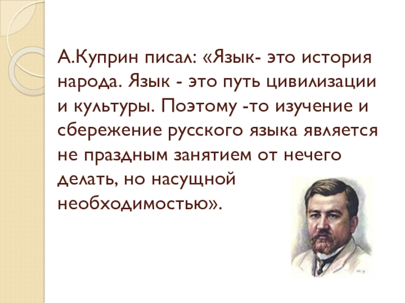 Проект на тему программа сохранения нашего языка