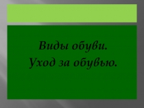 Презентация: Правила ухода за обувью (5 класс)