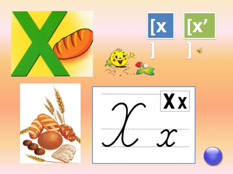 Презентация знакомство с буквой х