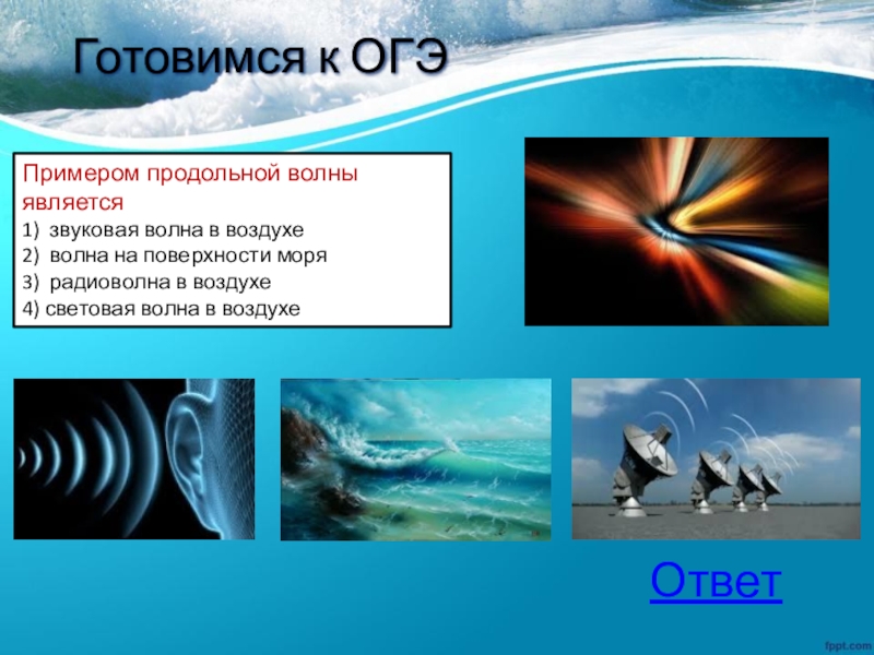 Волны это какой ресурс. Продольные волны примеры. Продольные и поперечные волны примеры. Продольные и поперечные волны примеры в жизни. Поперечные волны примеры.