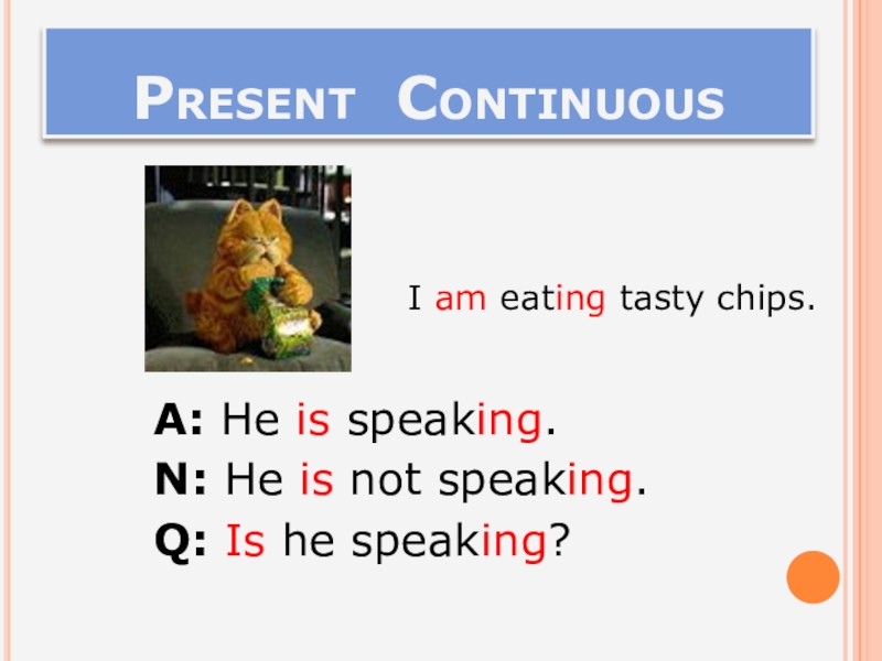 Am eating перевод. Present perfect смешно. Present perfect с котом. Животное в английском it или she. Had eaten какое время.