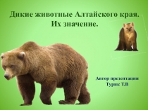 Дикие животные Алтайского края. Их значение.