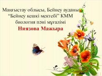 Презентация по биологии на тему Организмнің жеке дамуы – Онтогенез