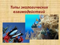 Презентация. Типы экологических взаимоотношений