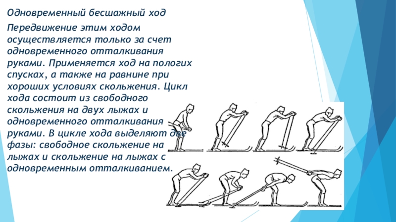 Ход х. Бесшажный ход на лыжах техника. Попеременно бесшажный ход на лыжах. Классический бесшажный лыжный ход. Техника одновременного бесшажного хода, попеременный двухшажный ход.