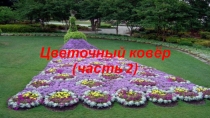 Презентация для подготовительной группы на тему: Цветочный ковёр (2 часть)