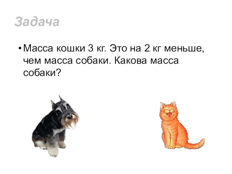 Кошка 3 кг. Масса собак и кошек. Масса кошки. Масса кошки пять килограмм. Найди массу собаки и кота.