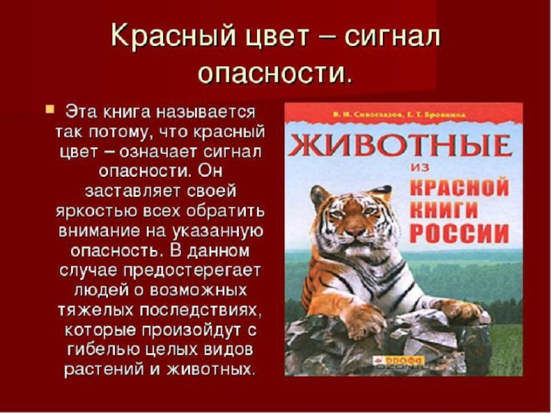 Презентация проекта доклад