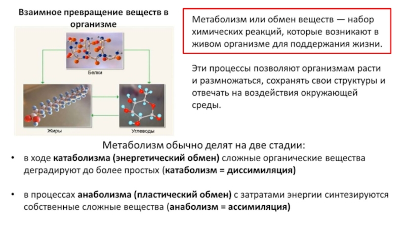 Став вещество. Взаимное превращение веществ в организме. Превращение вещества в поле. Взаимное превращение вещества и поля. Расскажите о взаимном превращении вещества и поля.