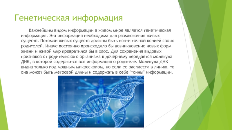 Генетическая информация. Геномная информация. Заключение по теме ядро хранитель наследственной информации. Банк генетической информации Москва фото здания.