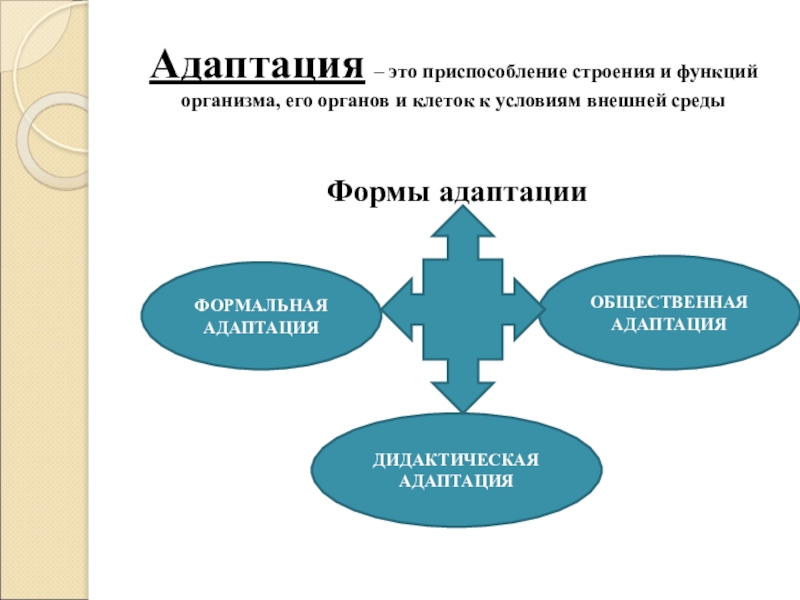 Адаптация это. Формальная адаптация. Адопция. Дидактическая адаптация. Формальная общественная адаптация.