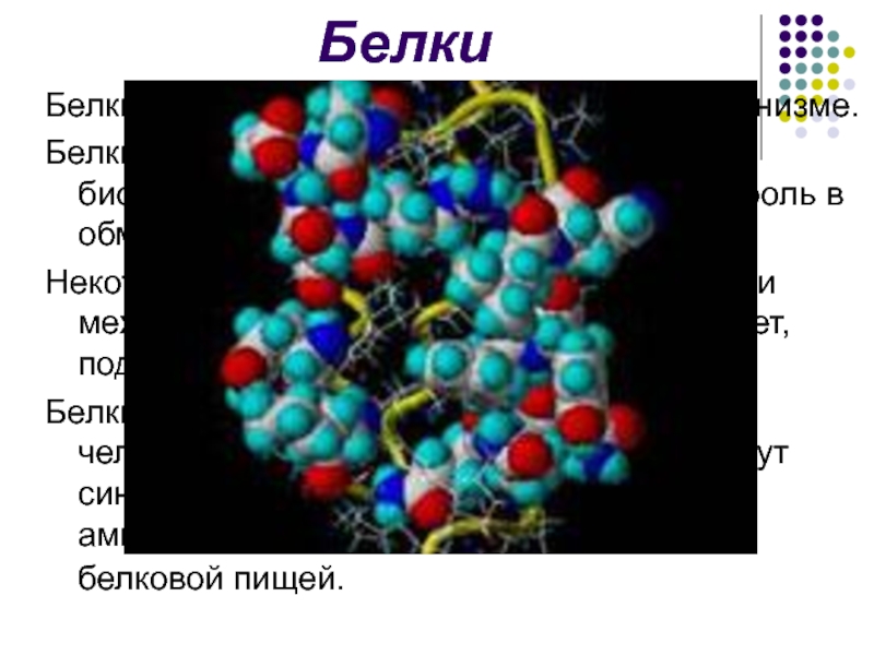 Химические элементы в клетках живых организмов 9 класс презентация