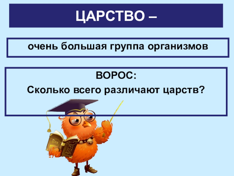 Доклад по биологии 5 класс классификация организмов. Царство это большая группа. Большая группа организмов это.