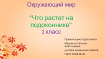 Презентация по окружающему миру на тему Что растет на подоконнике?