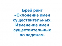 Презентация по русскому языку Склонение имен существительных