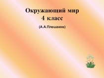 Презентация к уроку Земля – кормилица. Окружающий мир ( 4 класс)
