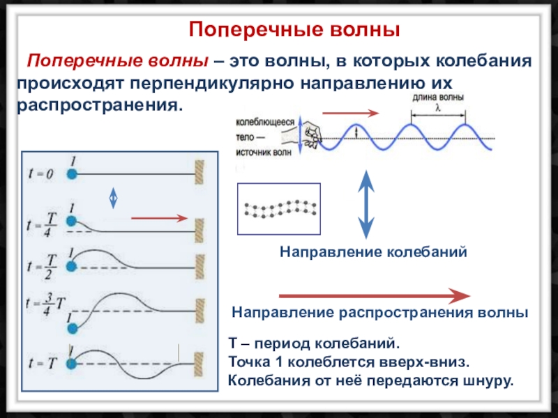 Свободные колебания точки период колебаний