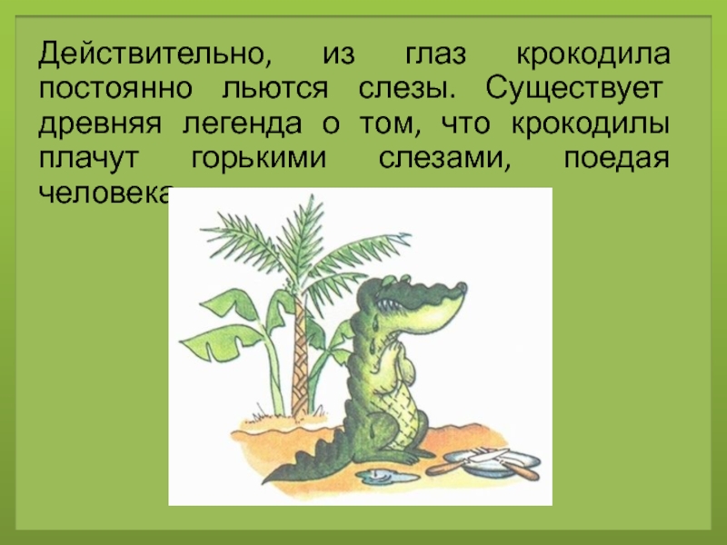 План текста крокодиловы слезы. Бумажки Крокодиловы слезы. Фразеологизм Крокодиловы слезы. Крокодиловы слезы происхождение. Что такое Крокодиловы слезы Почемучка.