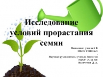 Исследование условий прорастания семян.