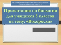 Презентация по биологии Водоросли (5 класс)