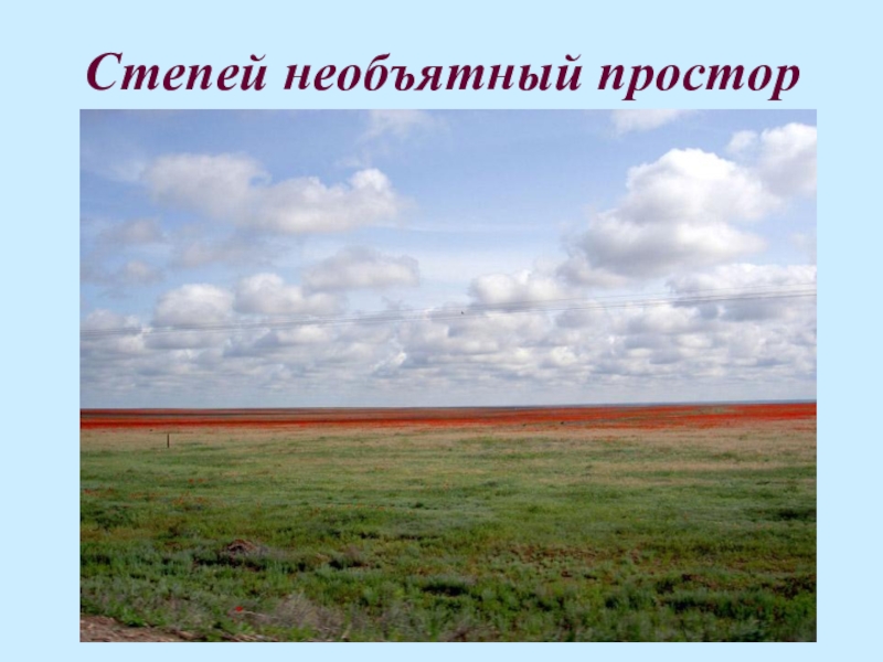 Экологические проблемы степи. Казахстан это наша Родина. Экологическая обстановка в степи. Охрана природы в степи.