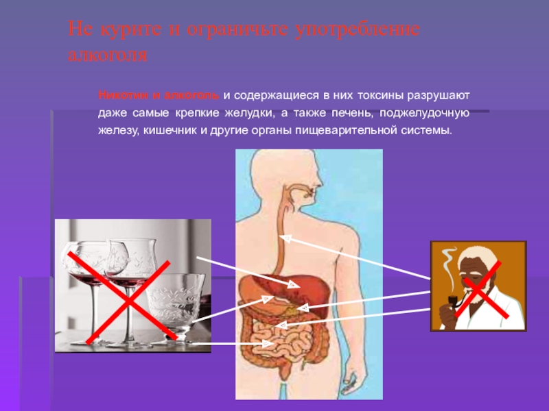 Гигиена пищеварительной системы проект