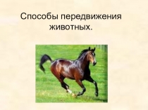 Презентация к уроку по теме Способы передвижения животных
