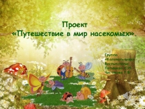 Ознакомление с миром насекомых