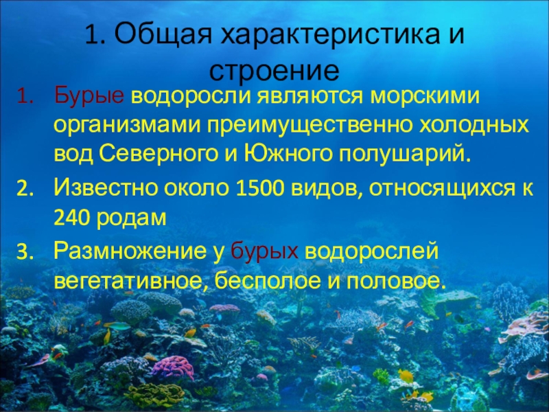 Водоросли общая характеристика 5 класс биология презентация сивоглазов