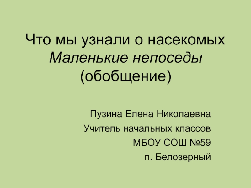 Что мы знаем о насекомых