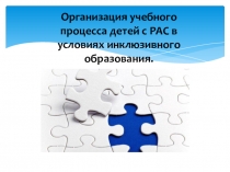 Организация учебного процесса детей с РАС в условиях инклюзивного образования.