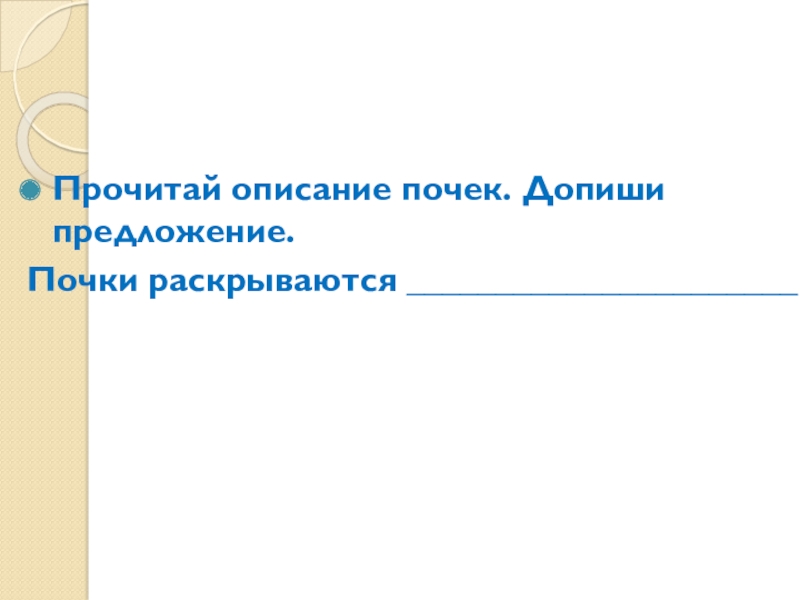 Строение почки человека 8 класс биология. Почка предложение. Макроскопическое строение пос4и. Почка предложение. Бобовидная форма почки.