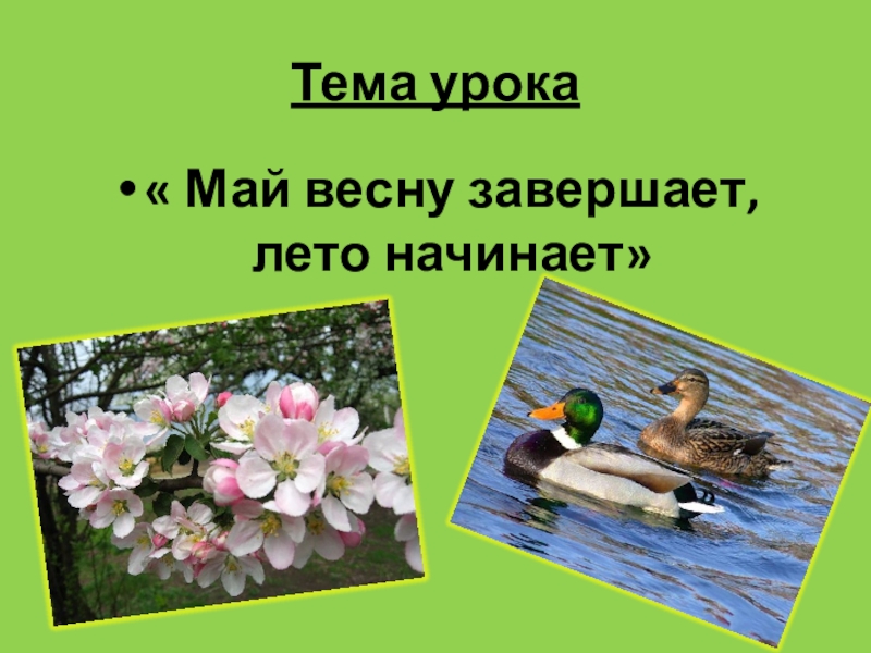 Май весну завершает лето начинает 1 класс школа 21 века конспект и презентация