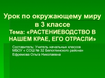 Презентация к уроку окружающего мира Растениеводство в нашем крае, его отрасли