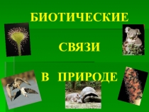Презентация по биологии на тему: Взаимосвязь компонентов биоценоза и их приспособленность друг к другу(7 класс)