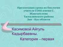 Панорамный урок по биологии в 10 классе (8 часов0