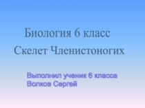 Презентация по биологии на тему Скелет Членистоногих (7 класс)