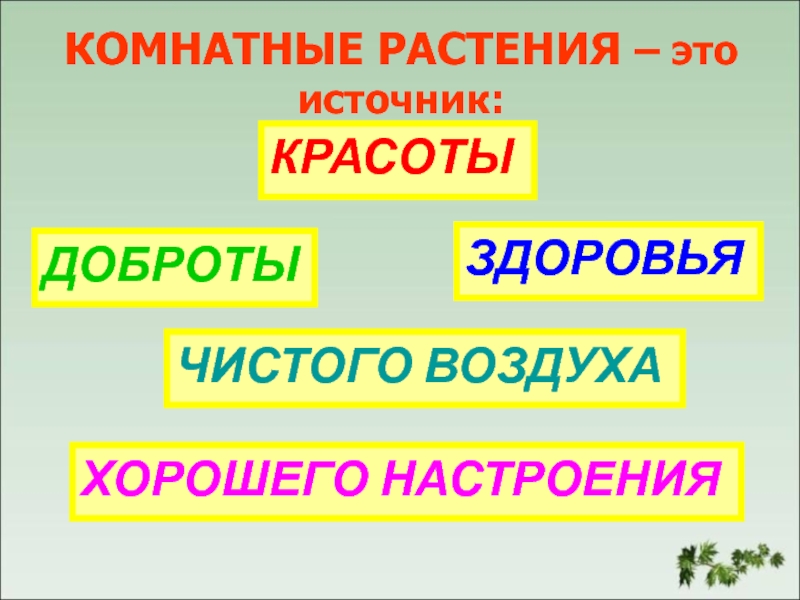 Комнатные растения 2 класс окружающий мир. Презентация комнатные растения это источник. Комнатные растения 2 класс презентация. Комнатные цветы презентация 2 класс.