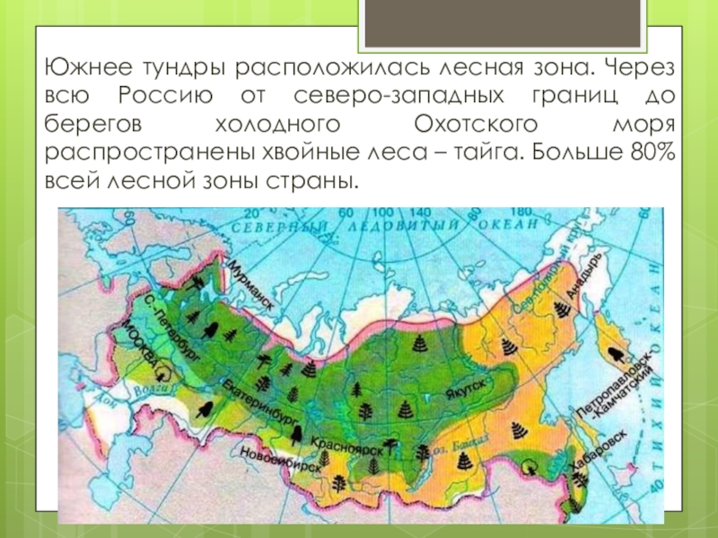 В какой природной зоне расположен челябинск. Природная зона лесов на карте России. Тайга на карте России природных зон. Границы природных зон России. Тайга природная зона на карте.