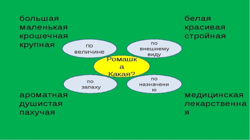 Семантическое поле презентация